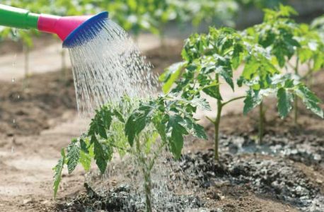 Facts About Water Image